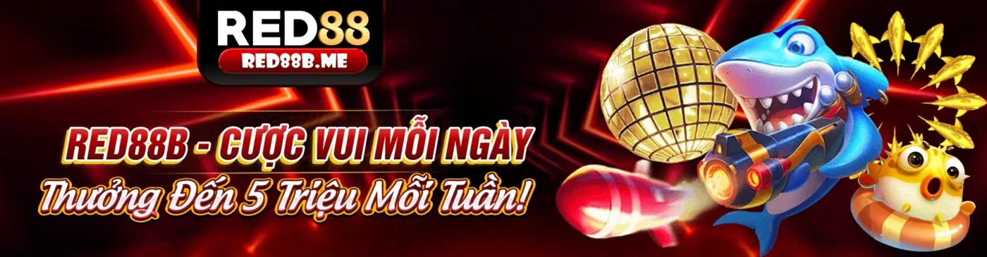 Tổng quan nền tảng ee88 APK 2026